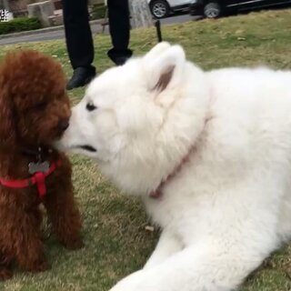 牙膏里加芥末？看“卜陛卜陛”如何用创意诠释生活情趣